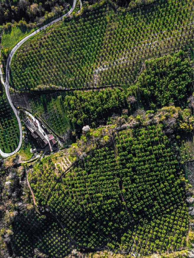 territorio home nocciolanghe